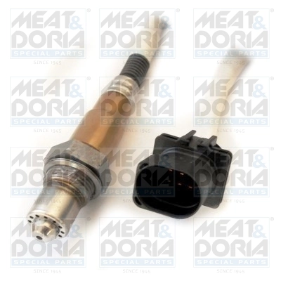 Oxygen Sensor